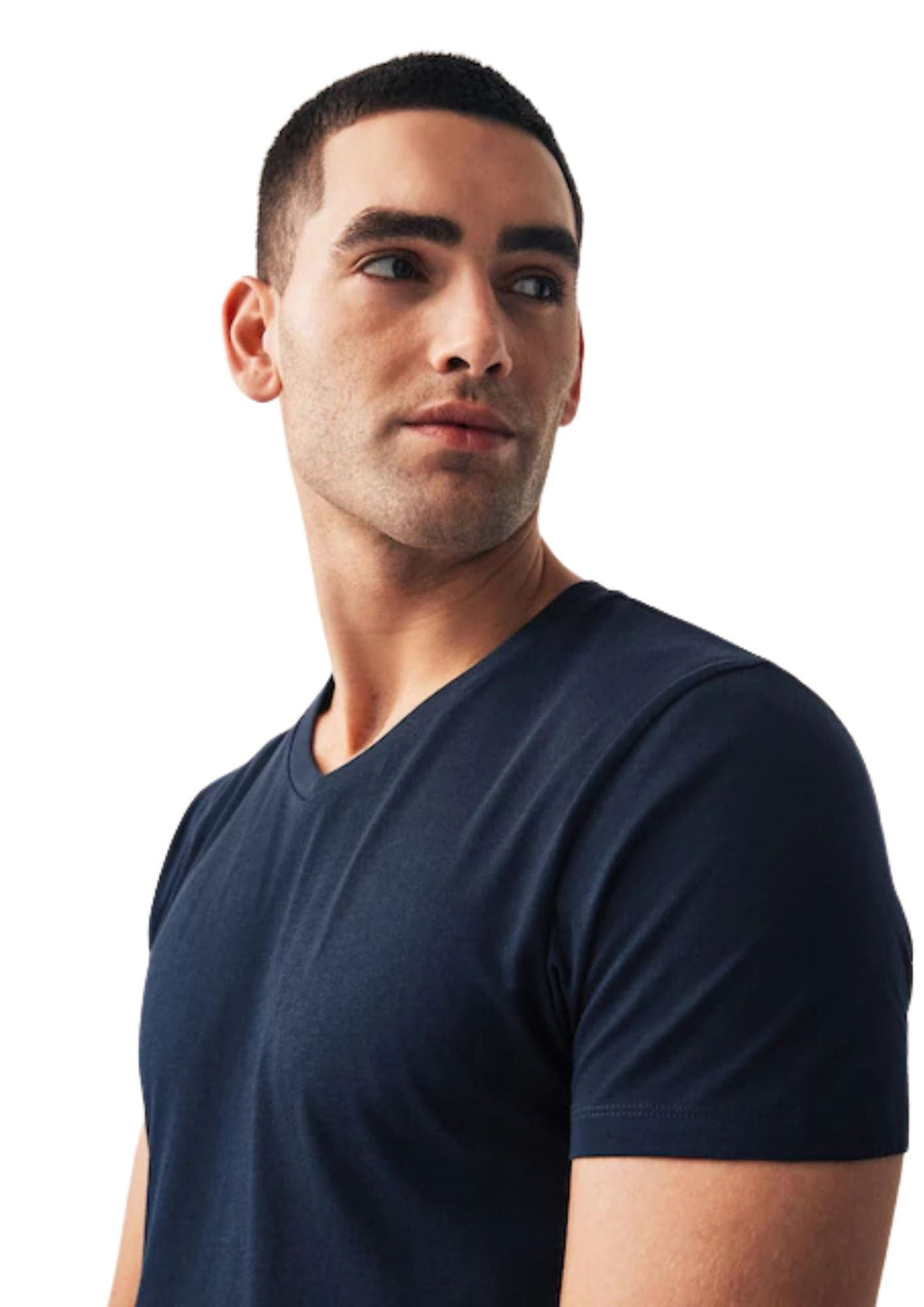 4-Pack Regular Fit Daniel® Cotton V-Neck T-Shirts