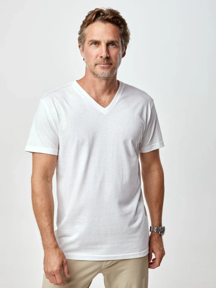 4-Pack Regular Fit Daniel® Cotton V-Neck T-Shirts